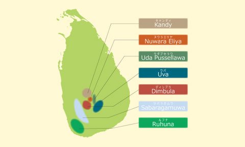 スリランカ島 農園地図